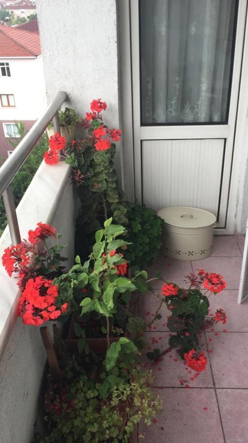 اسطنبول Single Room, Одноместная Комната В Доме, Chambre D'Une Personne, Habitacion Individual المظهر الخارجي الصورة